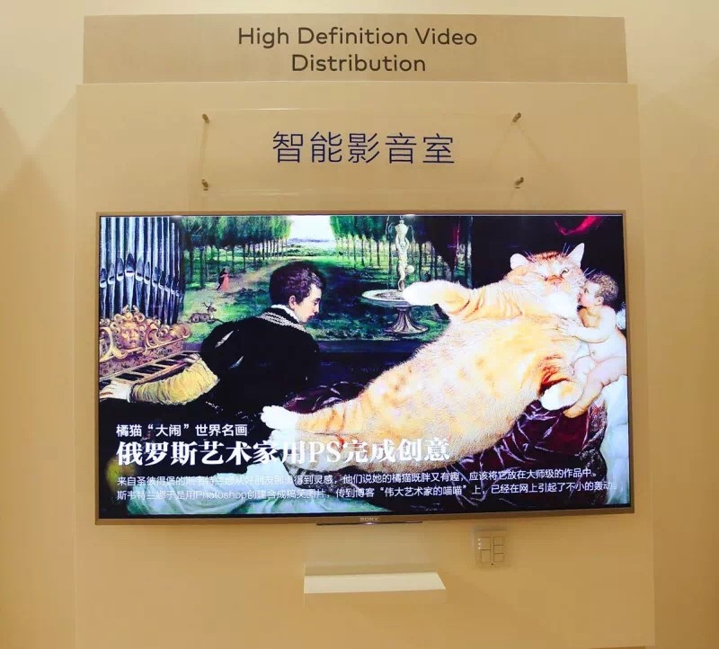 1528871814698052456.jpg 3.jpg