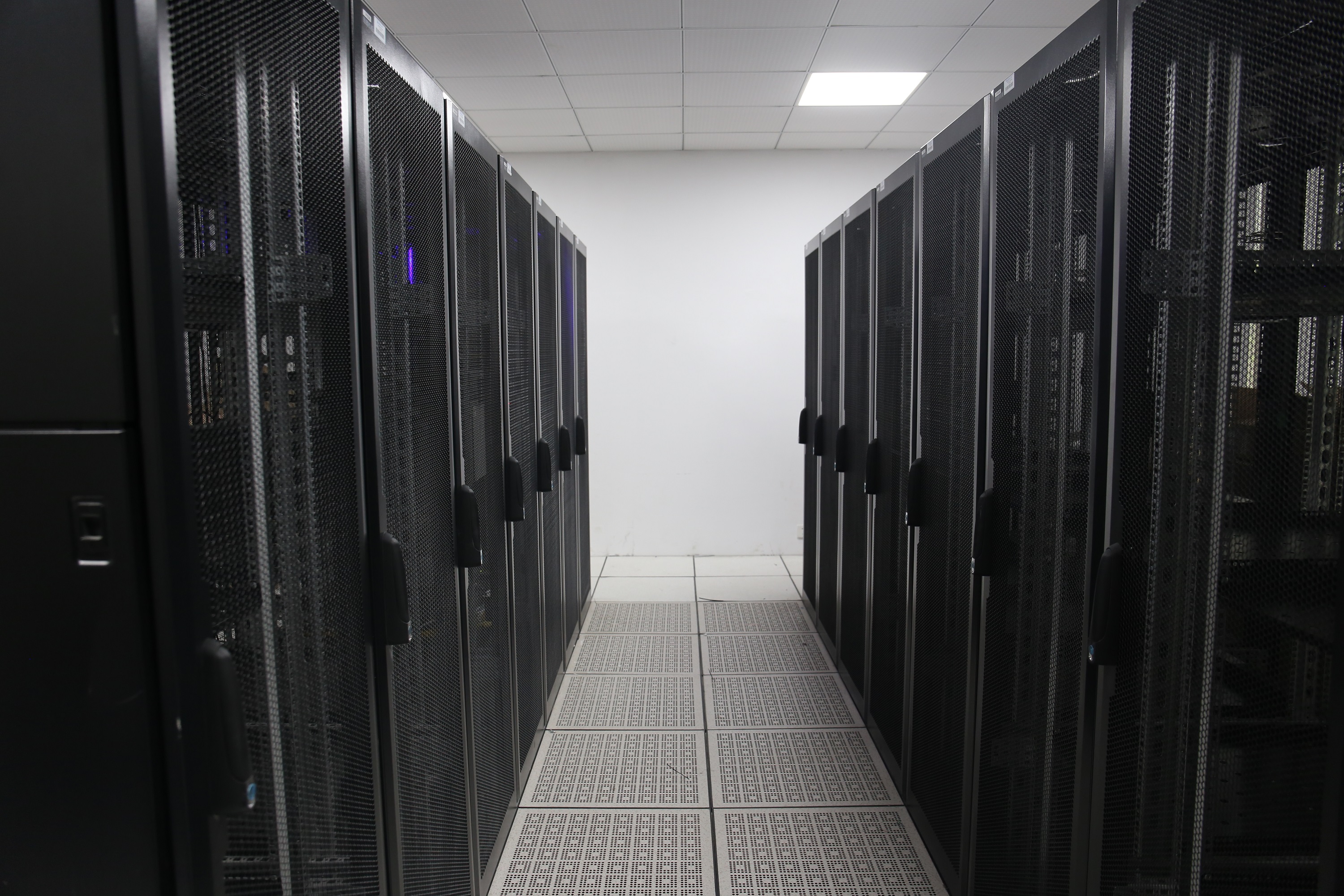 1536647604490042886.jpg IMG_3029.jpg