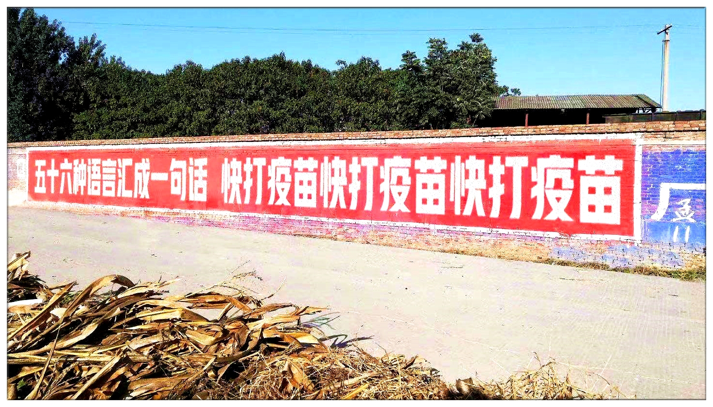 1617241262825062768.jpg 1617241262825062768.jpg